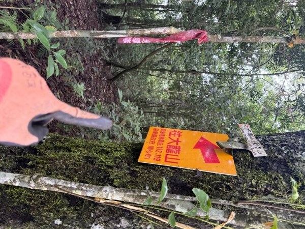 20250607 春谷養鱒場所上加里山 出大坪2805210