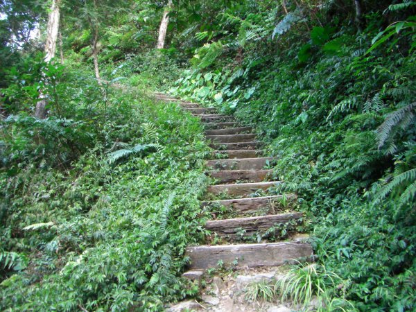 烏來紅河谷200907261957832