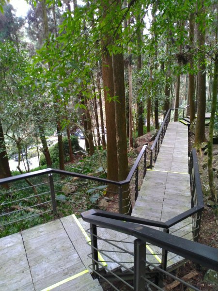 2023-03-04 奮起湖奮起步道2057747