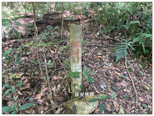 南東眼山 新基石 (南投、仁愛)2844768