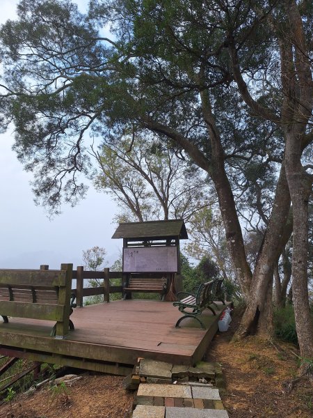 劍潭古道202503122734307