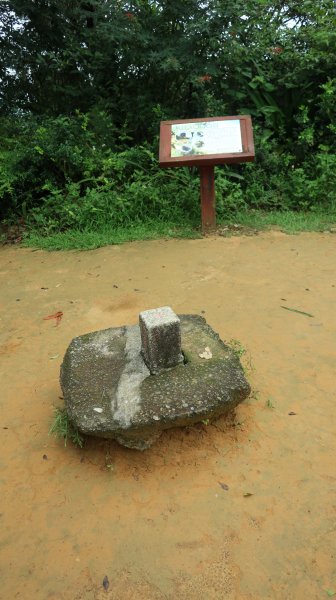 大湖公園  白鷺鷥山 灣仔山(因雨大 走約1/3折返)