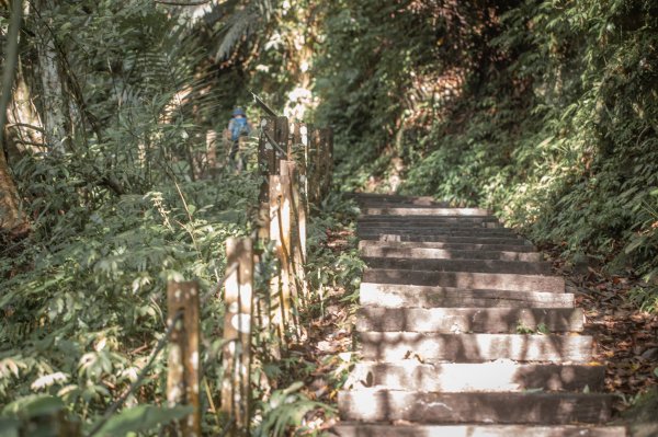 馬胎古道 （馬胎一期、南坪古道、內灣老街）3073772