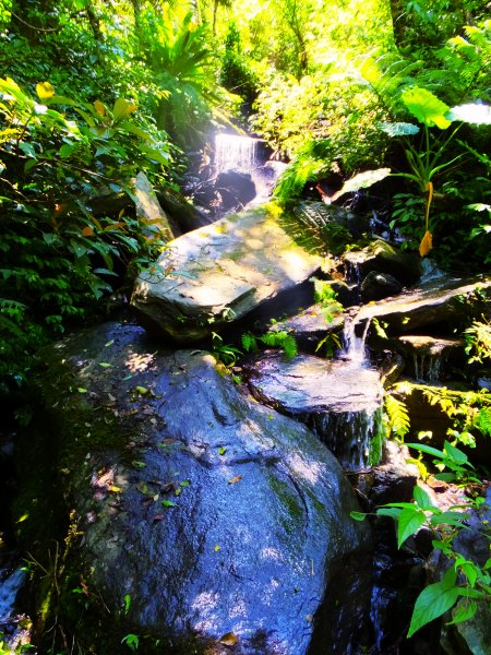 【走入山林，清涼一夏】宜蘭澳花瀑布步道633036