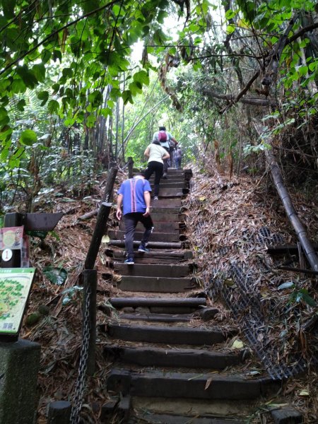 【小百岳62】紅毛埤山完成1591565