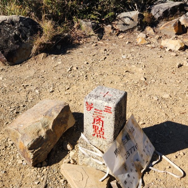 【中級山縱走】羅馬縱走，走進神木的夢幻童話森林世界2943244