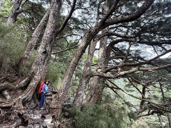 玉山主峰 2025/09/26~272915392