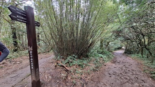 台北大縱走第一段1249202