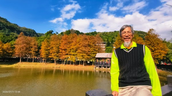 #花卉試驗中心 #永公路500巷 #平菁街42巷 #原住民公園 #士林官邸 1/42980352