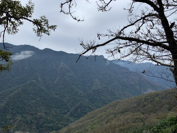 【中級山】明知山沒虎，偏向虎山行2441951