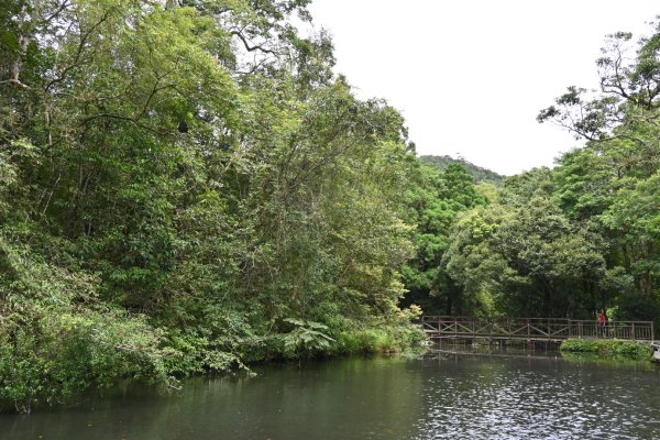 2025_0712 福山植物園2836173