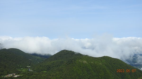 雲山水花鳥蝶 - 天龍國阿伯的日常5/71704454