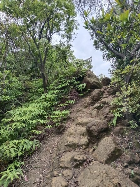平溪區三功大厝+番子坑山+千階嶺步道O型2781184