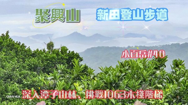 【聚興山】#小百岳40，新田登山步道，挑戰1063木棧階梯、台中熱門人氣步道