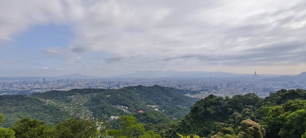 2025/05/31_烘爐地登山步道(南勢角山)2801430