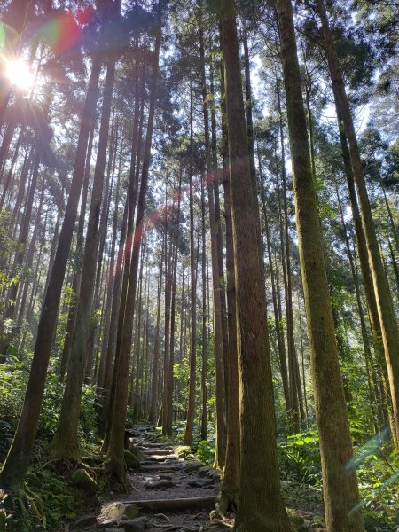 馬武督-外鳥嘴山846099