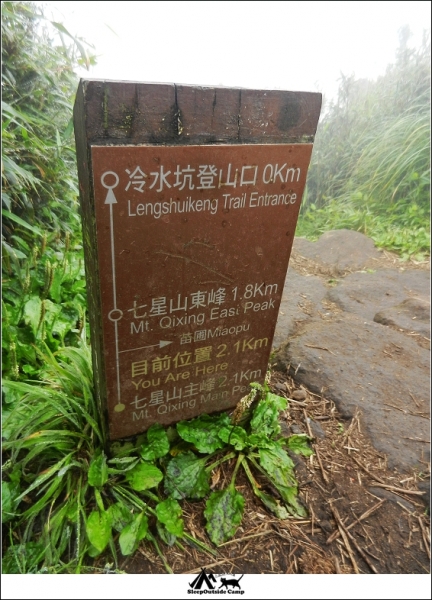 台北七星山主東峰登山步道258986