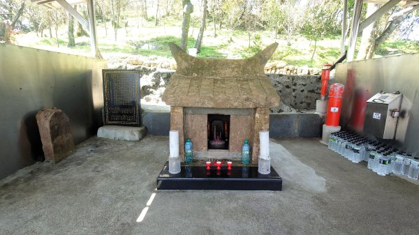 春天鮮綠的呢喃基隆荖寮坑古道上望古山登五分山O型2747328