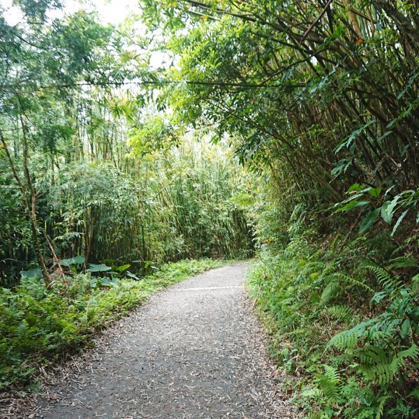 聖母登山步道561406