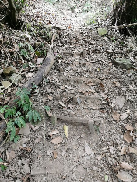 步道巡訪員 l 鳥嘴山步道10月巡訪日誌1139541