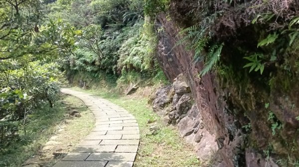 瑞芳區琉榔路觀光步道-小粗坑古道(小粗坑山+粗坑口山)3053303