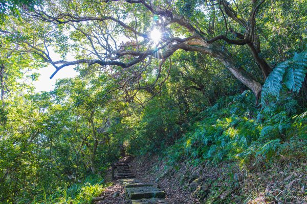 [台北]紗帽山2956586