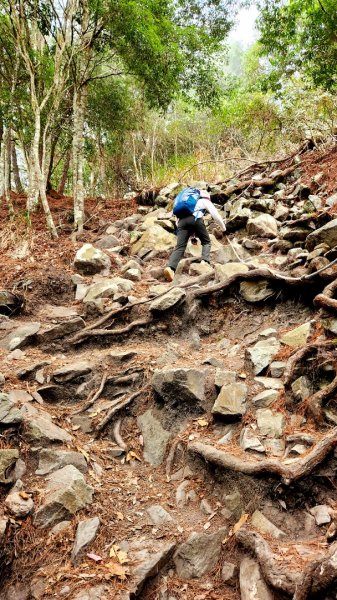 波津加山，太平蝙蝠洞延伸步道，福田賞桐生態步道，美崙山步道，台東鯉魚山2005040