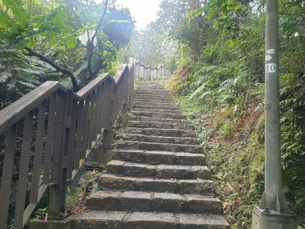 臺北大縱走第六段1516066