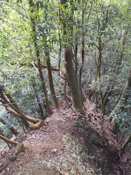 仙山古道群峰O型2693651