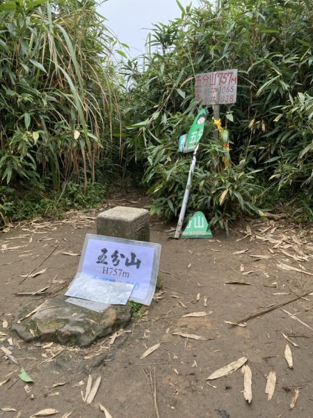 2023/12/14 碇內尖山 龍門山 五分山 淡蘭古道中路2399820