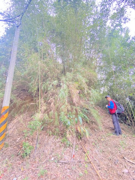 三義銅鑼基石巡禮--伯公龍.大坪凸.模麟坑山.鯉魚石下山.茄苳坑山.老雞隆山.社寮坪山2410064