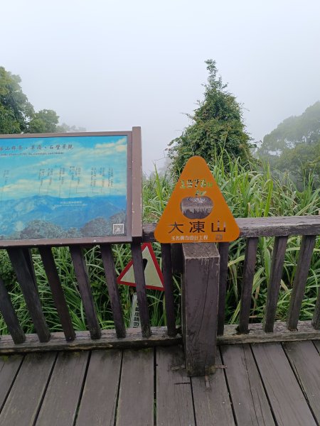 嘉義大凍山2876985