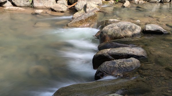 114.11.09草嶺古道芒花季之旅2932943