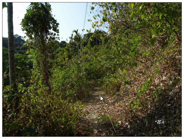 東南坑山(台中-太平)1279625