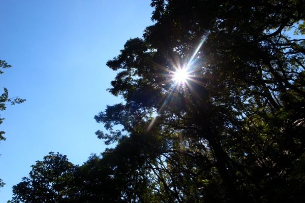 雷隱橋頂湖山O型走中正山觀景台(舊照片)393037