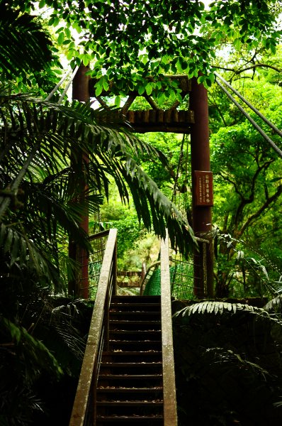 鄒族雅吾瑪斯步道916885