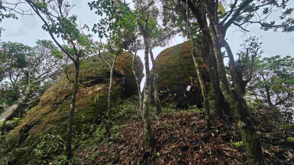 20250519石碇大崙-南勢坑山-鑽石峰-人頭面山-南勢坑大尖-小尖山主前北峰2791606