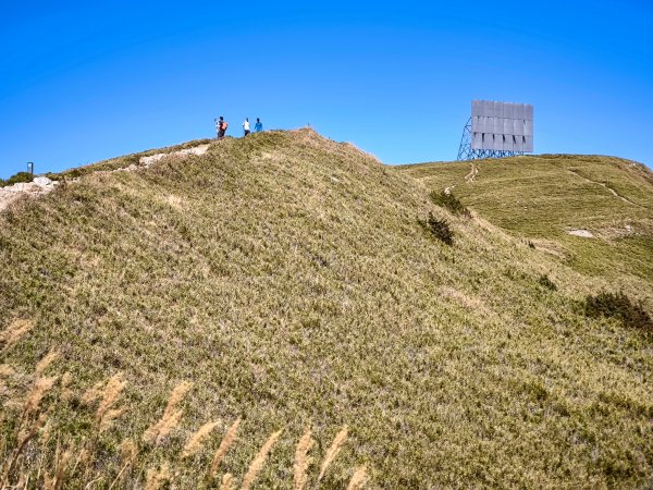 2025-11-07 合歡北峰、小溪營地、鷹石尖、北峰名樹2934336