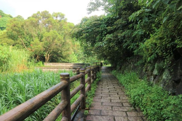 〔北投〕永春寮環狀步道-上清宮，清代種植鳳梨  並建有住宅的 鳳梨宅聚落，兩百餘年粗坑老茄苳樹2224851