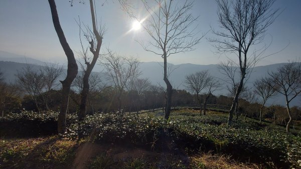 守城大山路徑探索1260126