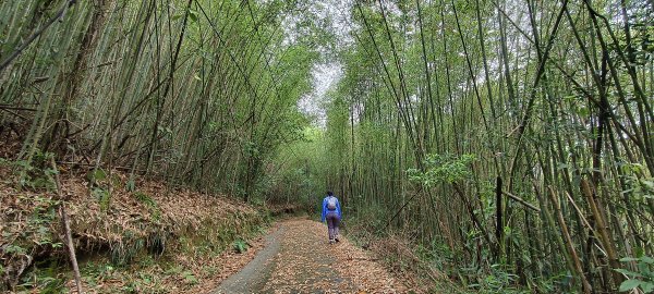 2025/04/13_大窩文史生態區步道2760241