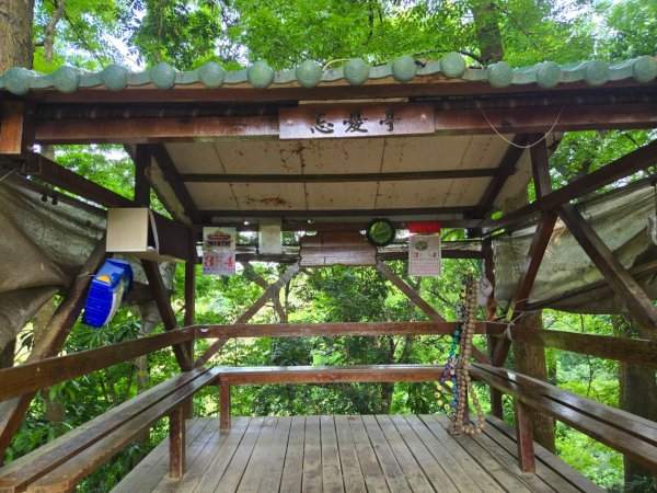 新化林場後山步道2776965