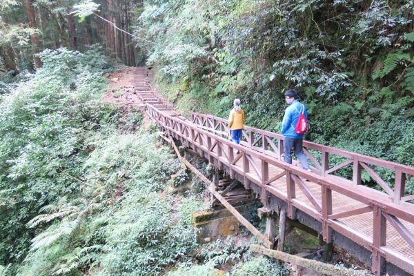 特富野古道234876