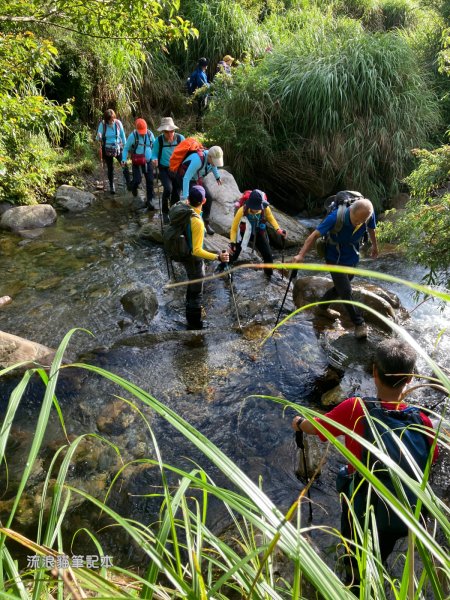 【羅馬縱走】山林巨木饗宴，夏季避暑的縱走路線2888194