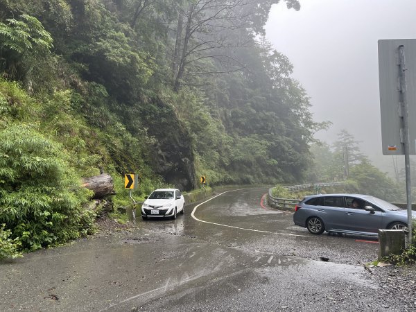[玉山尋寶任務-01/12] 2025_0726 庫哈諾辛山登山步道2847367
