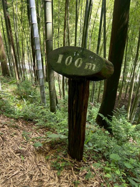 嵐山再古坑。五元兩角 木馬古道2806143