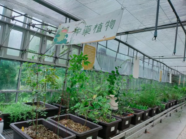 內雙溪自然中心步道(台北小溪頭2812132