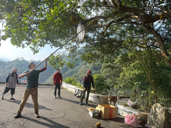 金童山.汶水山.玉女山【冬天的郊山縱走=高山等級的享受】2680959