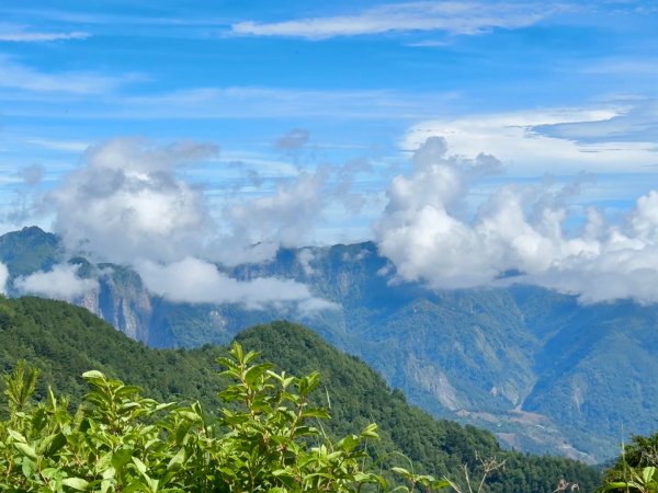 新中橫看玉山 首訪鹿林神木2837038