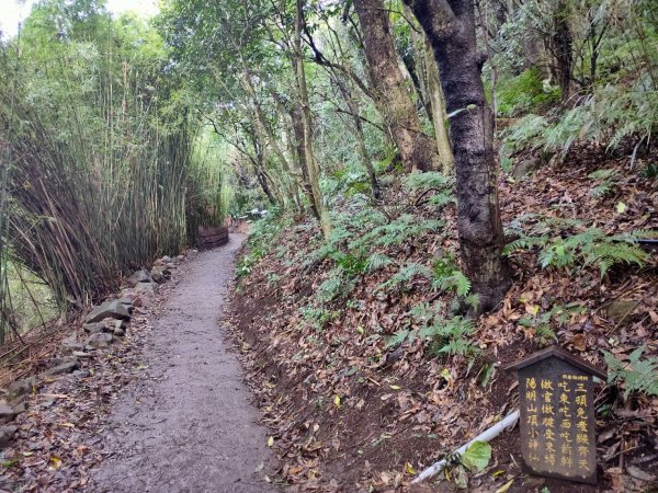 橫嶺古道 湖山國小步道1194204